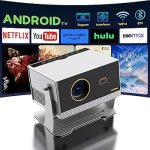 FLICKERPROH14KProjector.jpg