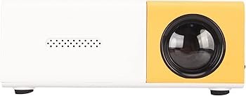 CiciglowControlProjector.jpg