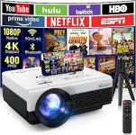 CrumisyMiniProjectorOutdoorProjector.jpg