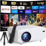 YBAUAPortableMiniProjector.jpg
