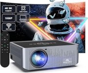 AlwtnietPortableOutdoorProjector.jpg