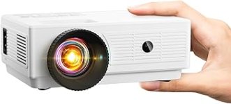 ARTSEAMiniProjector.jpg
