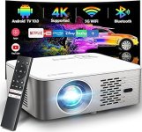 CIBEST4KSupportProjector.jpg